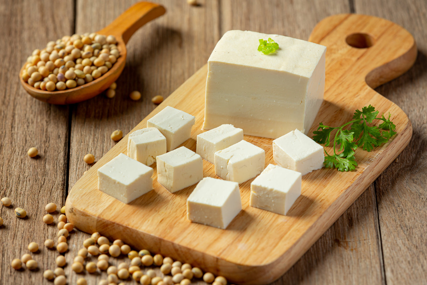 TOFU, TEMPEH Y FERMENTADOS