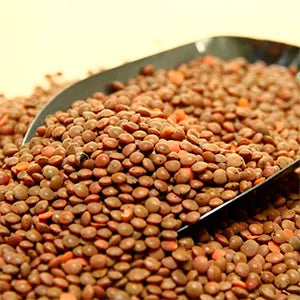 LENTEJAS BABAY A GRANEL AMBROSIA - CERTIFICADAS SIN GLUTEN